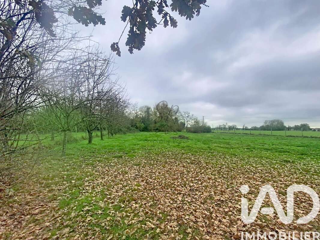 Photo 3 - Terrain à ALBIAS