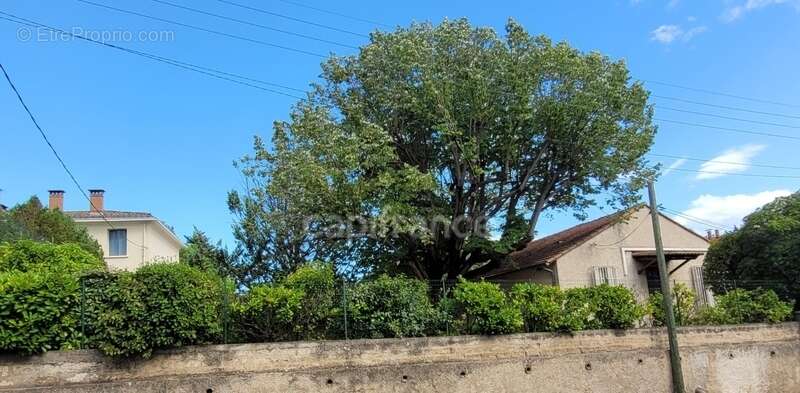 Maison à MONTPELLIER