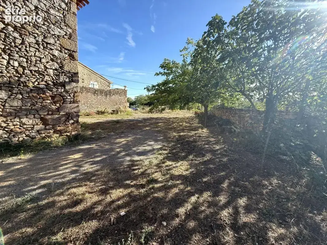 Maison 340 m² à vendre à Villespassans (34360) - photo 3