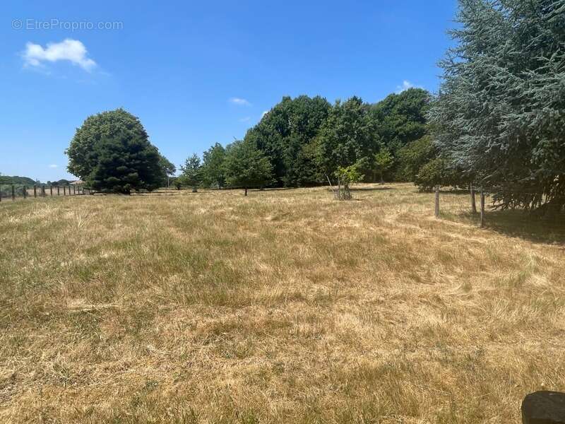 Maison individuelle 4 chambres avec bassin d'agrément et 1 hectare de terrain - photo 33