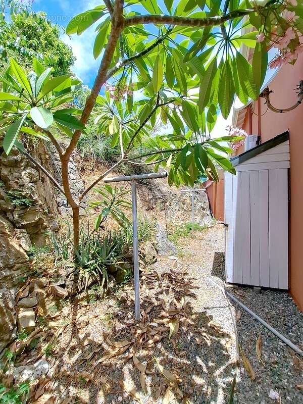 Maison à SAINT-MARTIN