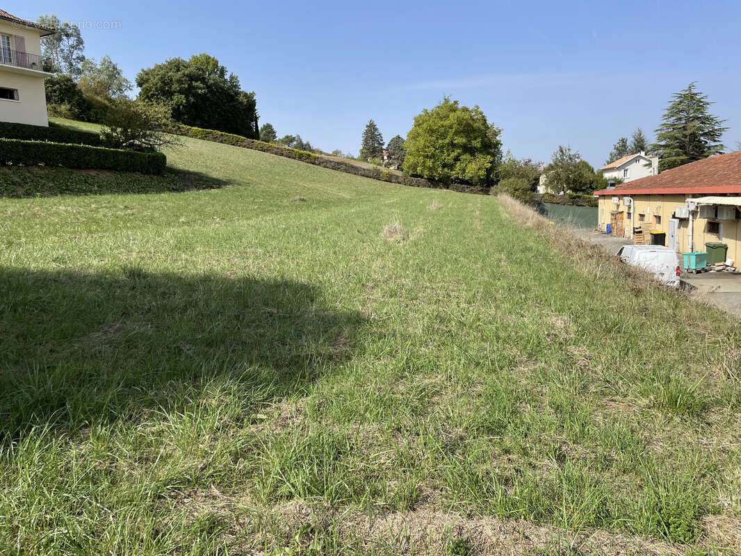 Terrain à PAVIE