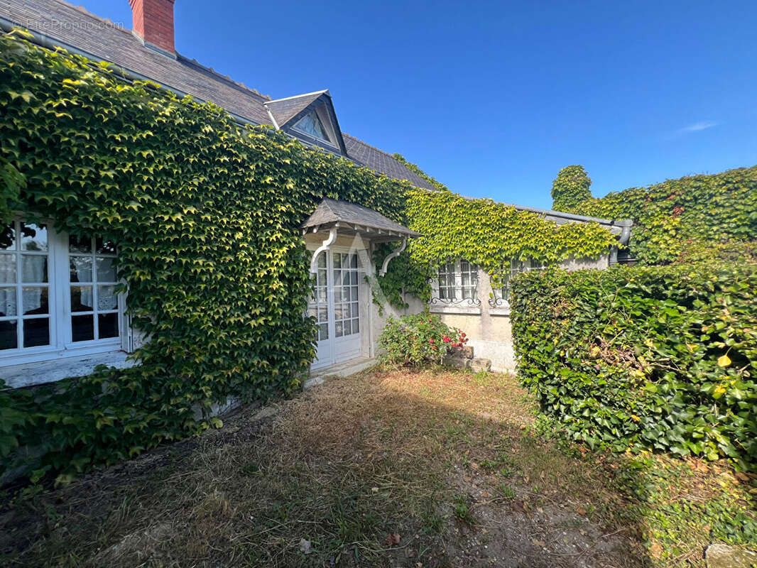 Maison à MONTRICHARD