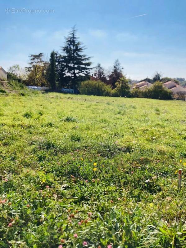 Terrain à OUDON