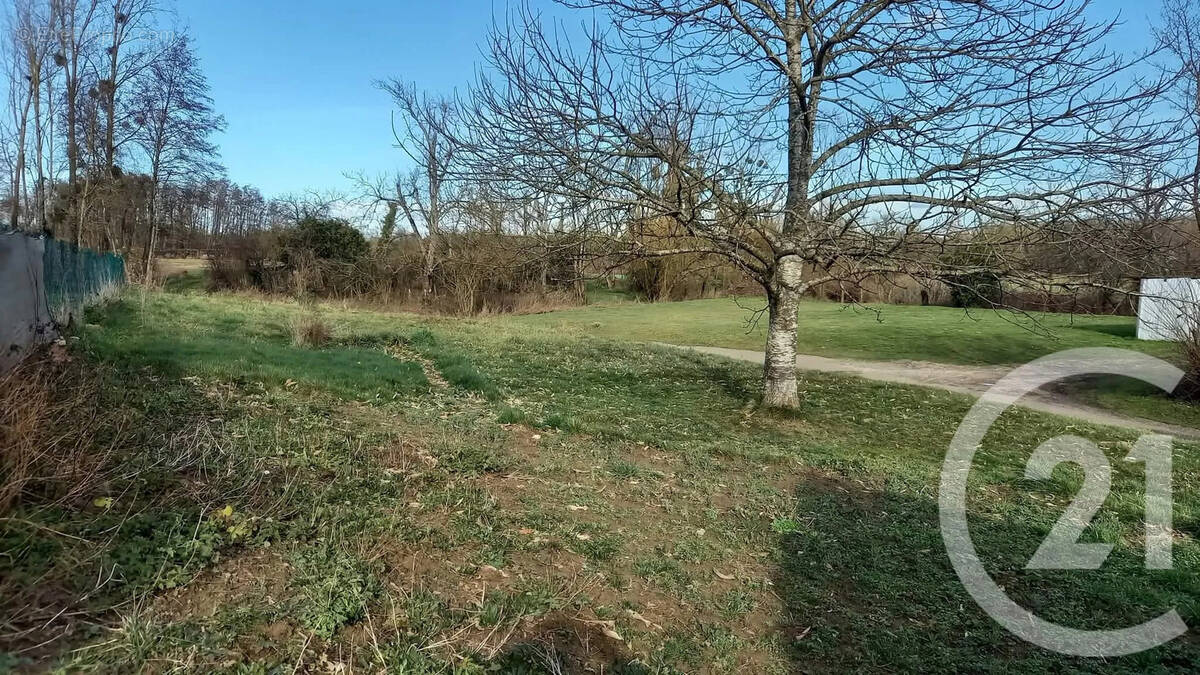 Terrain à SAINTE-CROIX