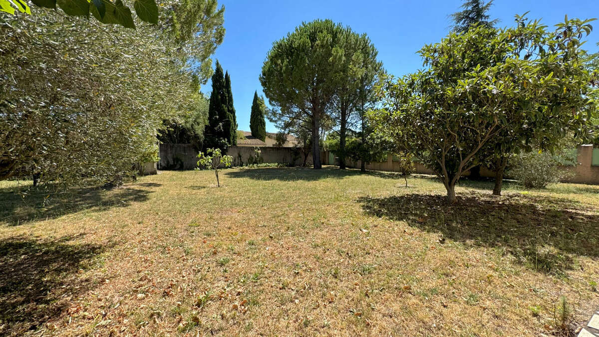 Terrain à ENTRAIGUES-SUR-LA-SORGUE