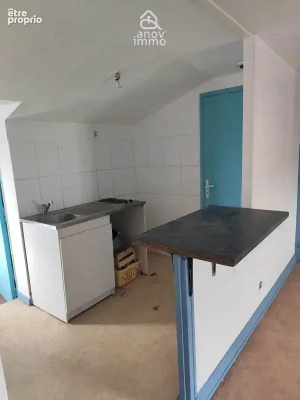 EXCLUSIVITE Immeuble de rapport   2 logements avec jardin 43 - photo 13