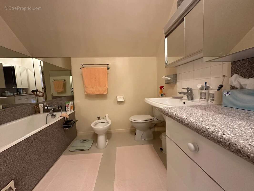 Maison à LE MESNIL-SAINT-DENIS