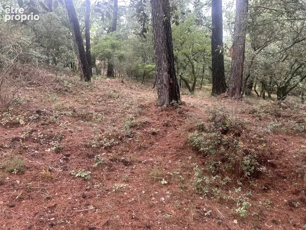 Luberon St-Saturnin les Apt, beau terrain à vendre de 1000 m2 - photo 3
