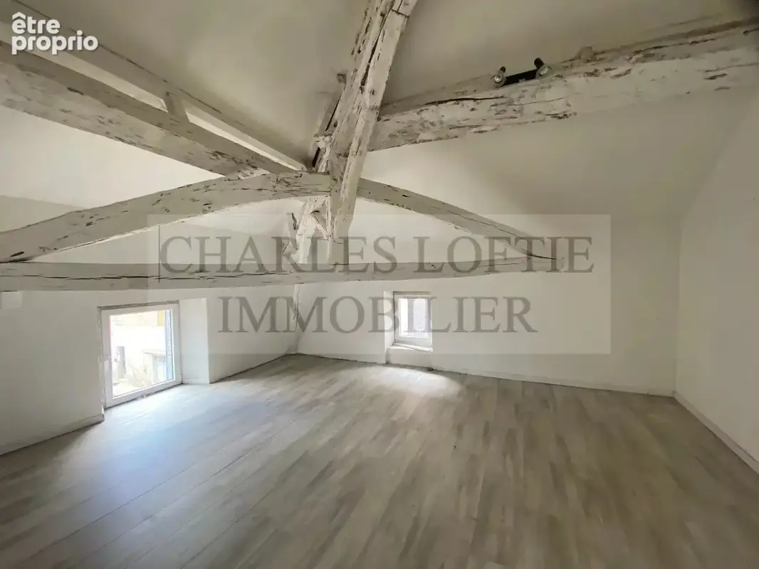 Ancienne maison bourgeoise en pierre de caractere entierement restauree en 3 appartements independants - photo 8