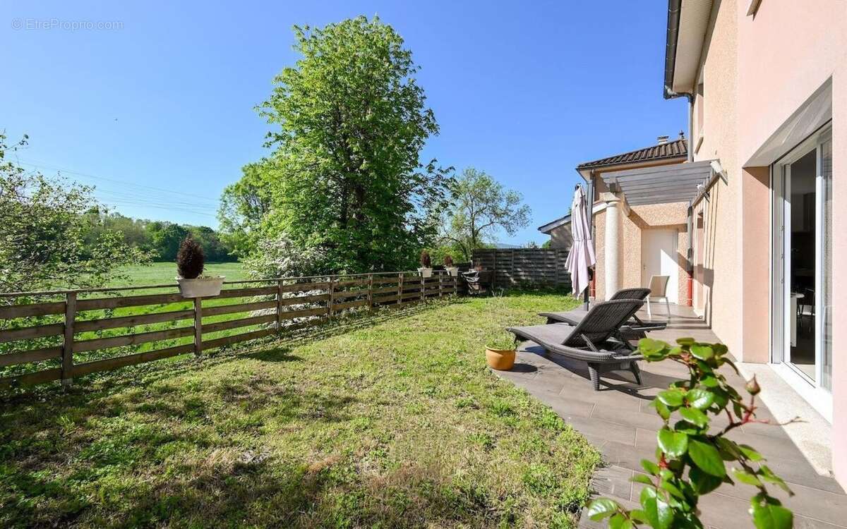 Photo 6 - Maison à MASSIEUX