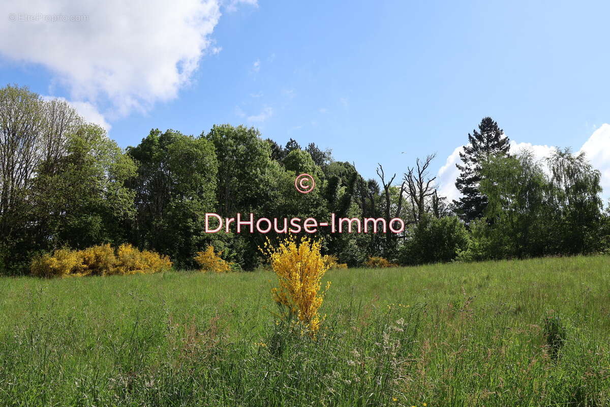 Terrain à SAINT-YRIEIX-LA-PERCHE