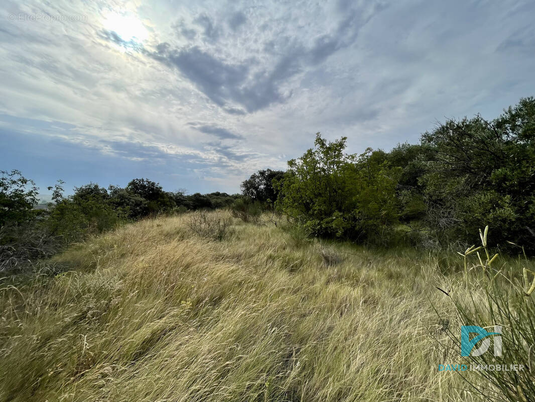 Terrain à SAINT-THIBERY