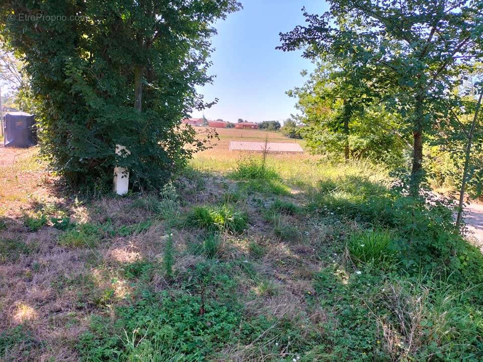 Terrain constructible Mauvezin(32120) 655m² - photo 9