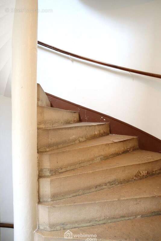 Un bel escalier à vis en pierre distribue les caves et étages. - Appartement à POITIERS