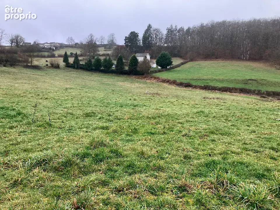 Terrain 1 683 m² à vendre à Lacapelle-Viescamp (15150) - photo 1