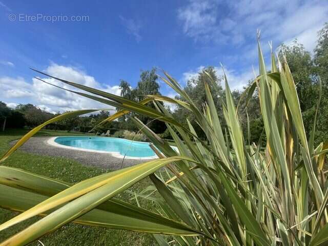 Maison 200 m² à Bazas  - photo 2
