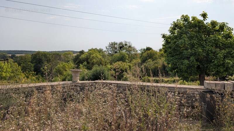 Maison à PACY-SUR-ARMANCON
