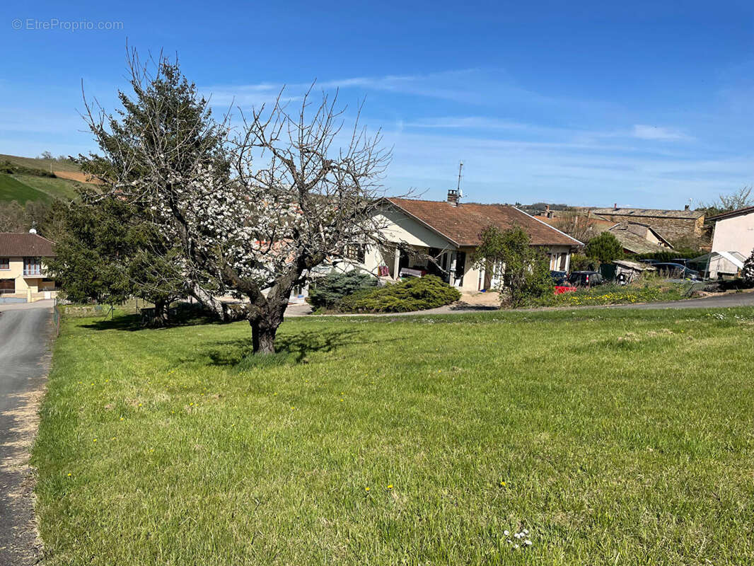Terrain à POUILLY-LE-MONIAL