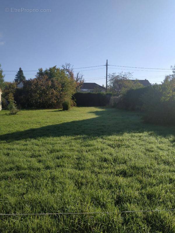 Terrain à BURES-SUR-YVETTE