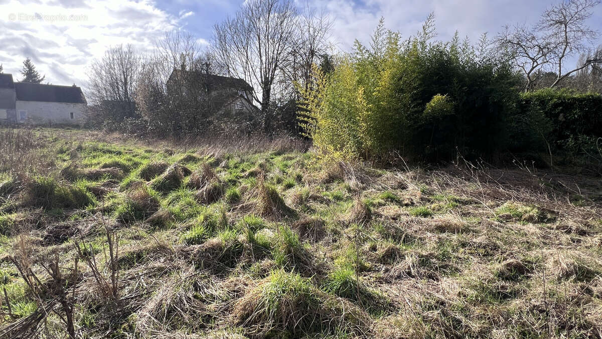 Terrain à VAYRES-SUR-ESSONNE