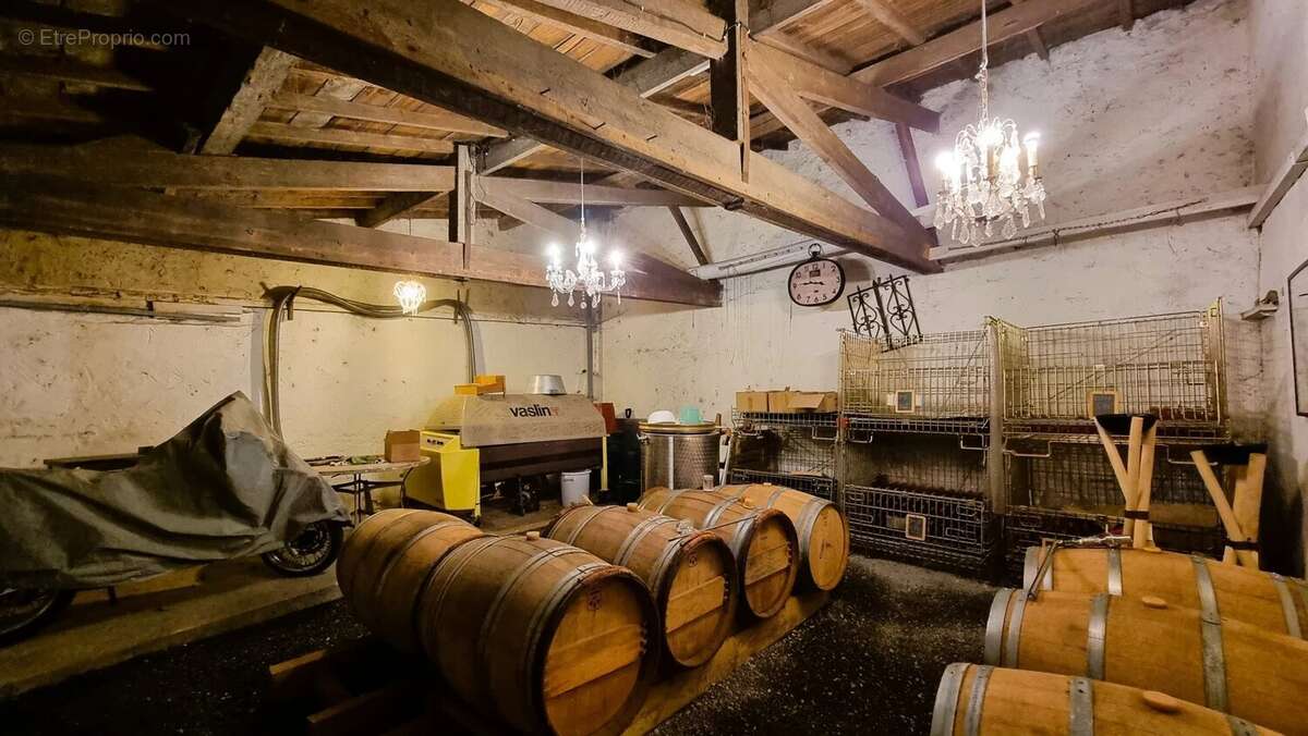 Maison joliment rénovée avec vignoble amateur - photo 11