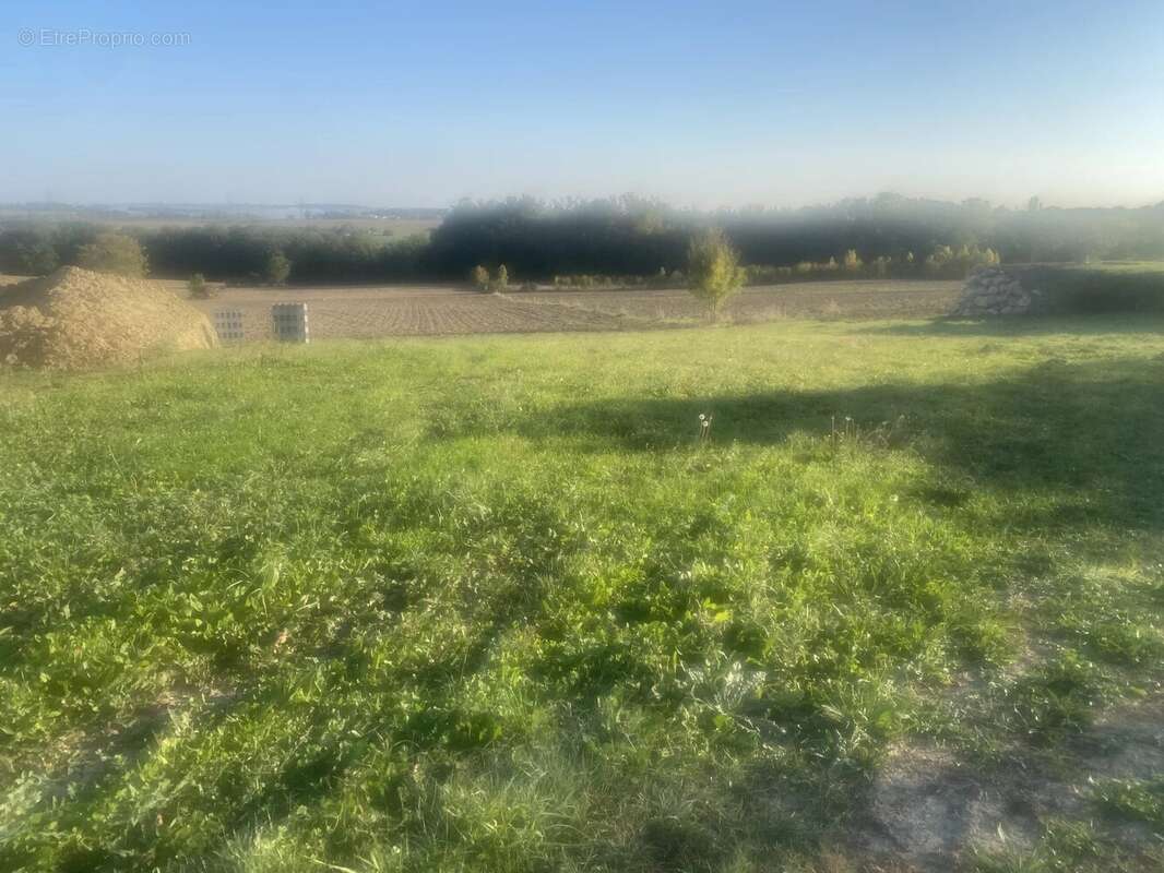 Terrain à SAINT-ORENS-DE-GAMEVILLE