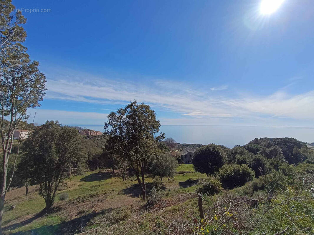 Terrain à BASTIA