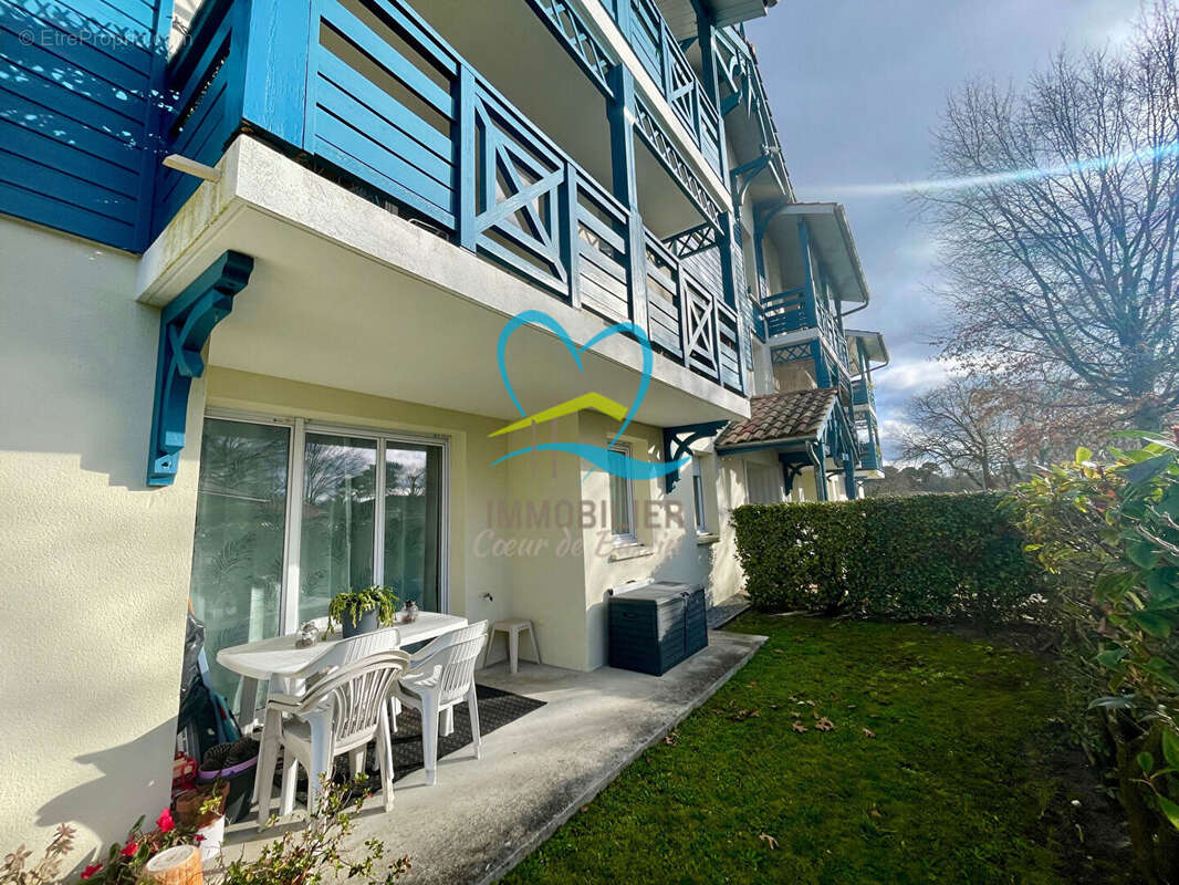 Appartement à AUDENGE