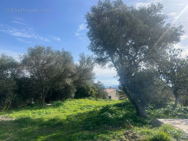 Terrain à LA VALETTE-DU-VAR