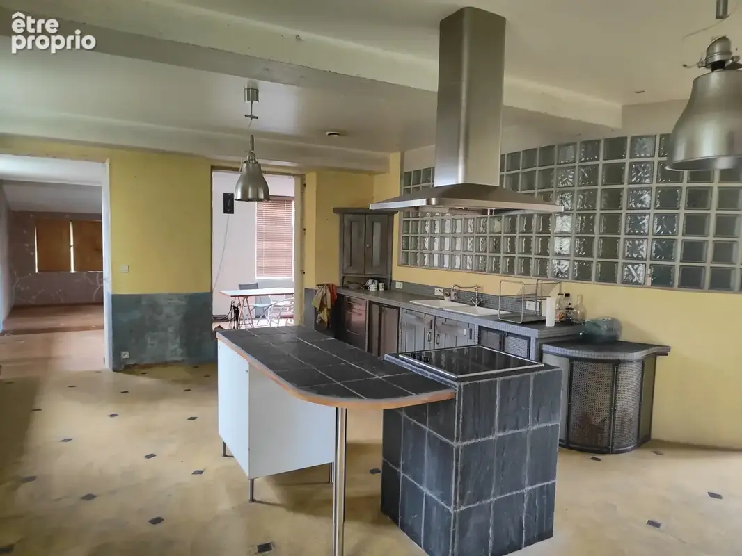 Maison 406 m² à Orbigny  - photo 5