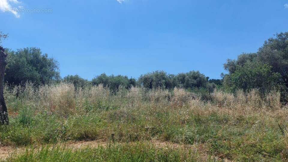 Terrain à OPIO