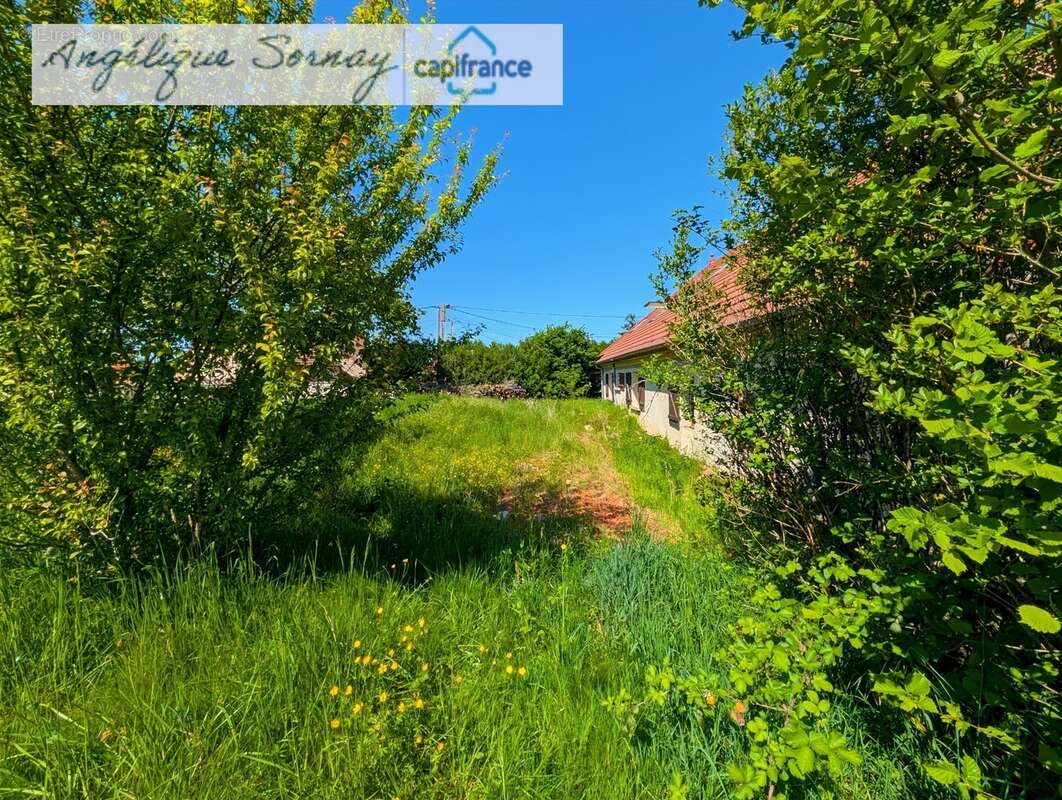 longère avec dépendances sur 3 115 m² – Francheville 39230 - photo 44