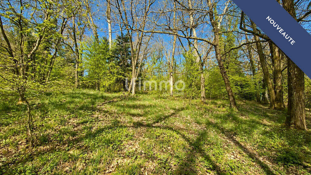 Terrain constructible 2200 m² - photo 2