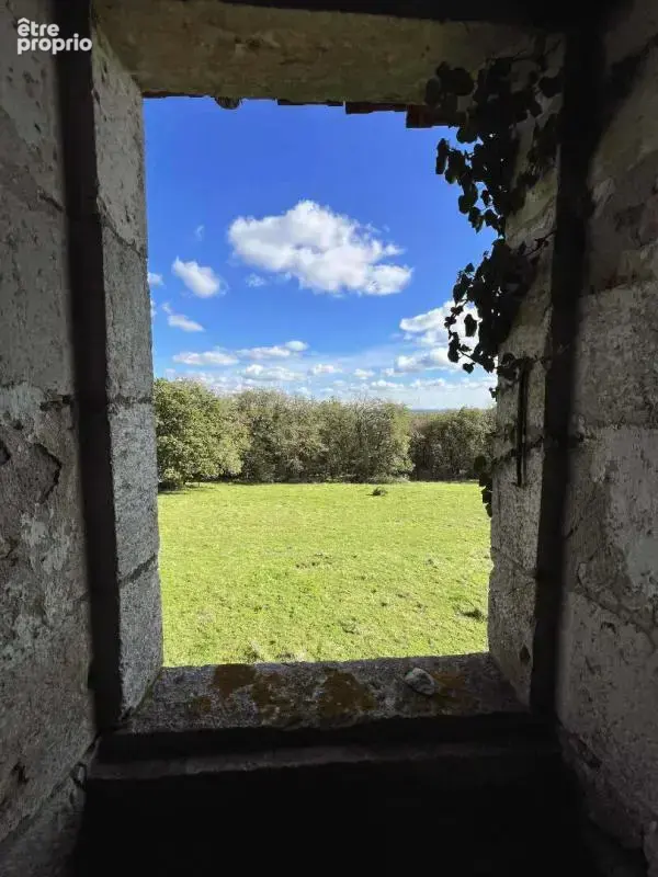 Maison de maître Excideuil 5 pièce(s) 150 m2 et ses 36ha de terres - photo 6