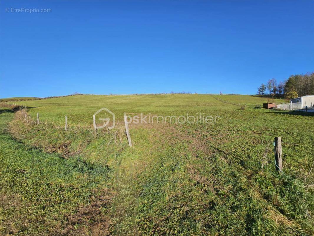 Terrain à MORIAT