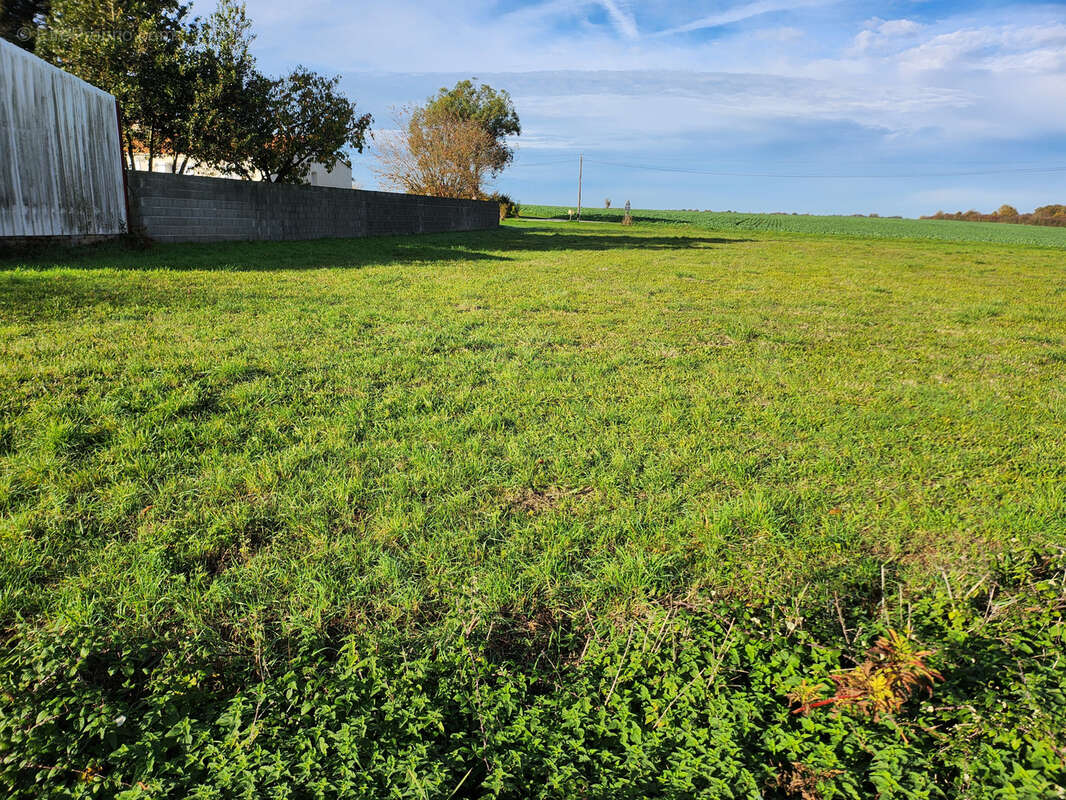 Terrain à LES MAGNILS-REIGNIERS
