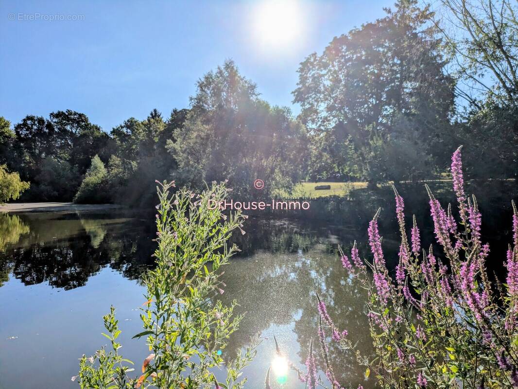 Appartement à VERNEUIL-SUR-SEINE