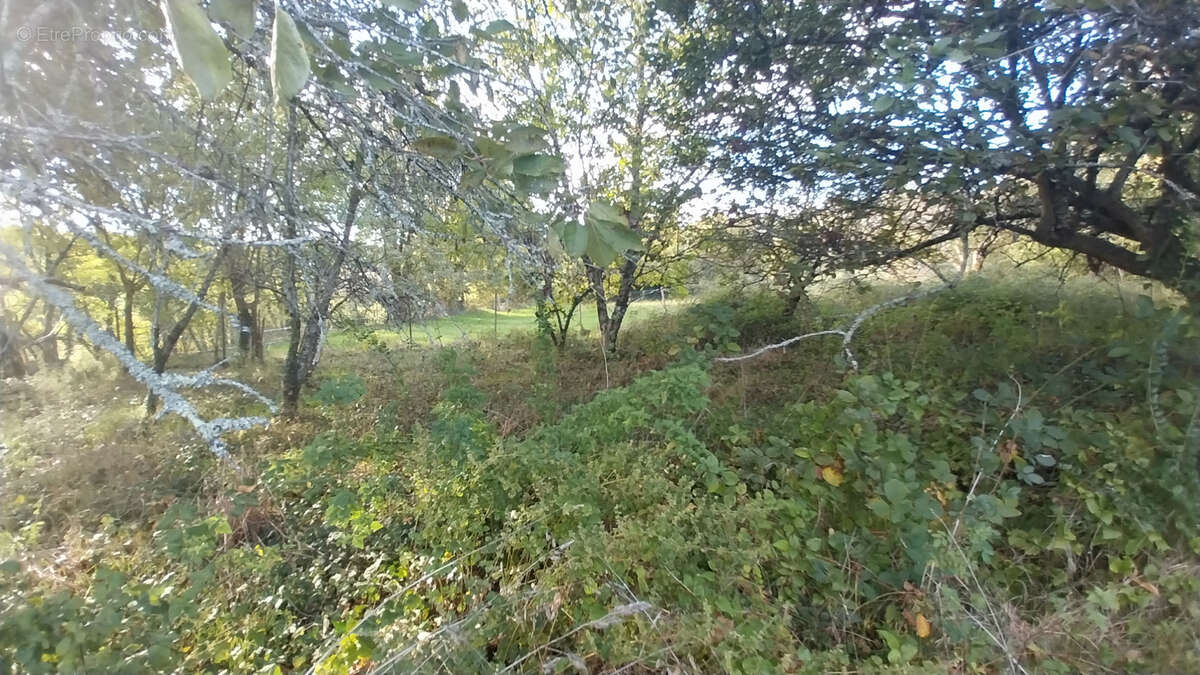 Maison à CHANCELADE