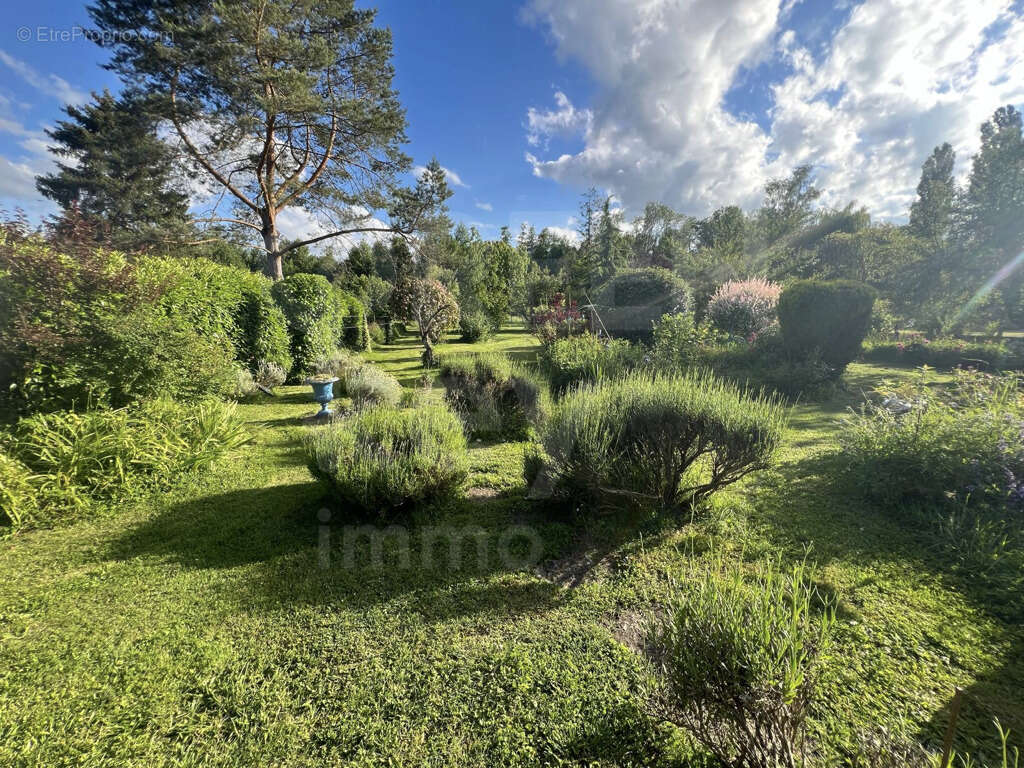 Maison à SAINT-AMAND-EN-PUISAYE