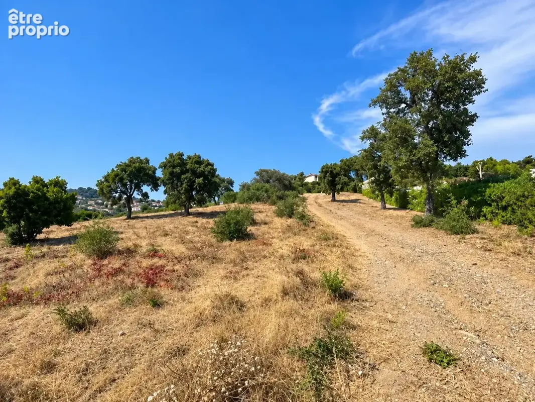 Investisseur – lot a3 – 1 565 m² – les issambres - photo 5