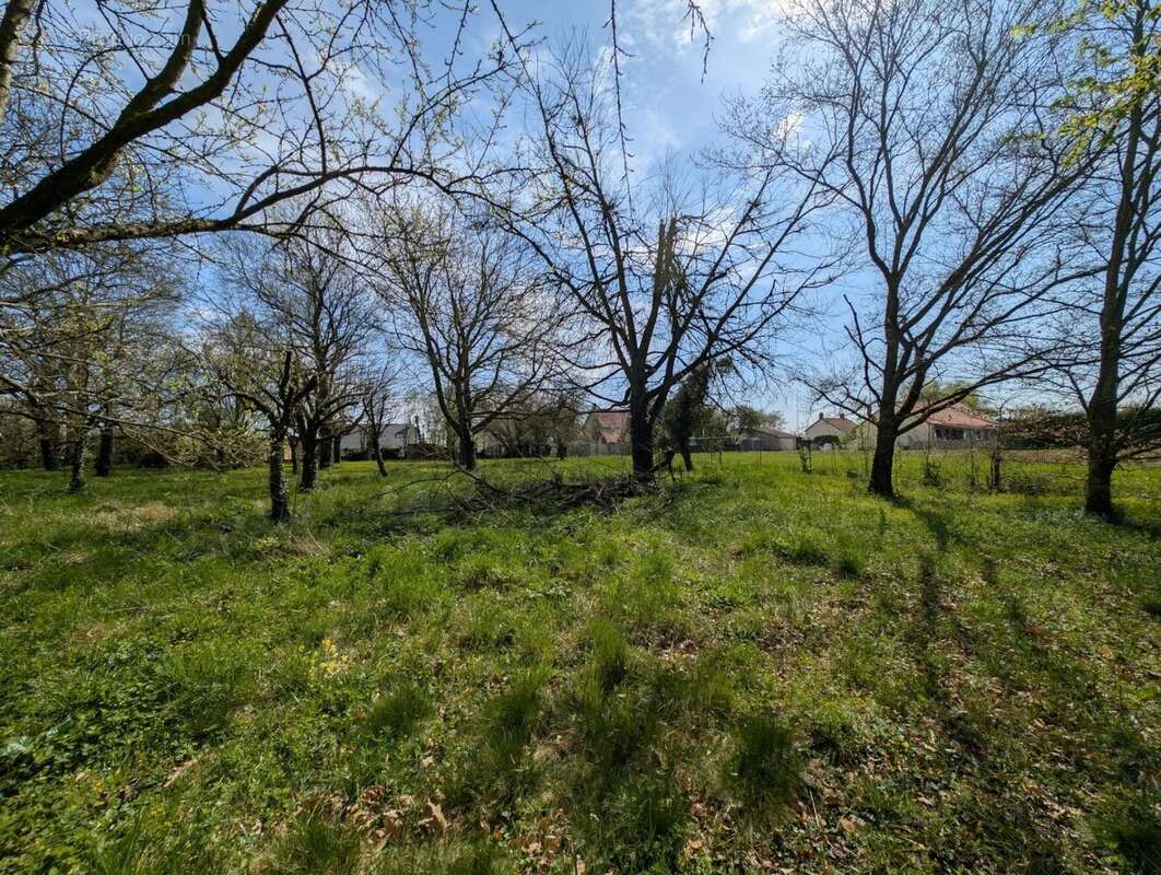 Terrain à LA FERTE-GAUCHER