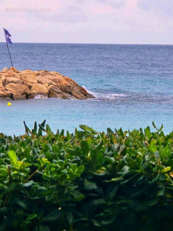 Appartement à ROQUEBRUNE-CAP-MARTIN