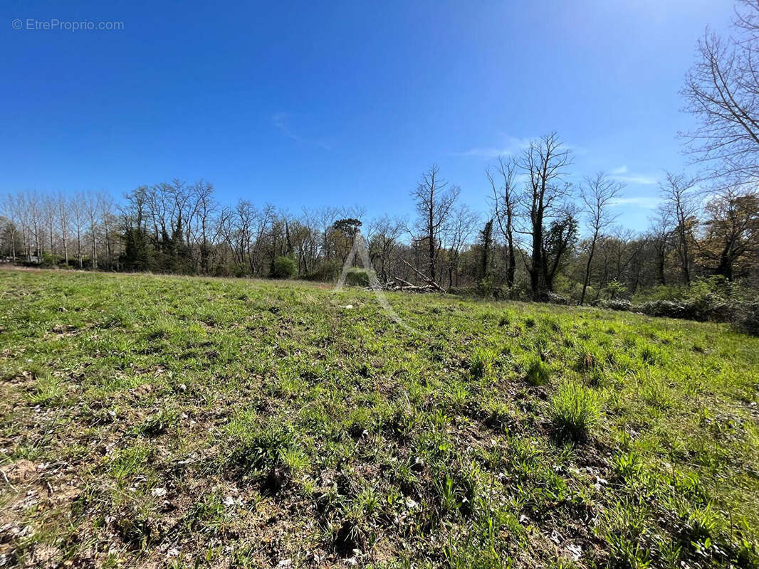 Villeneuve de  Marsan - photo 10