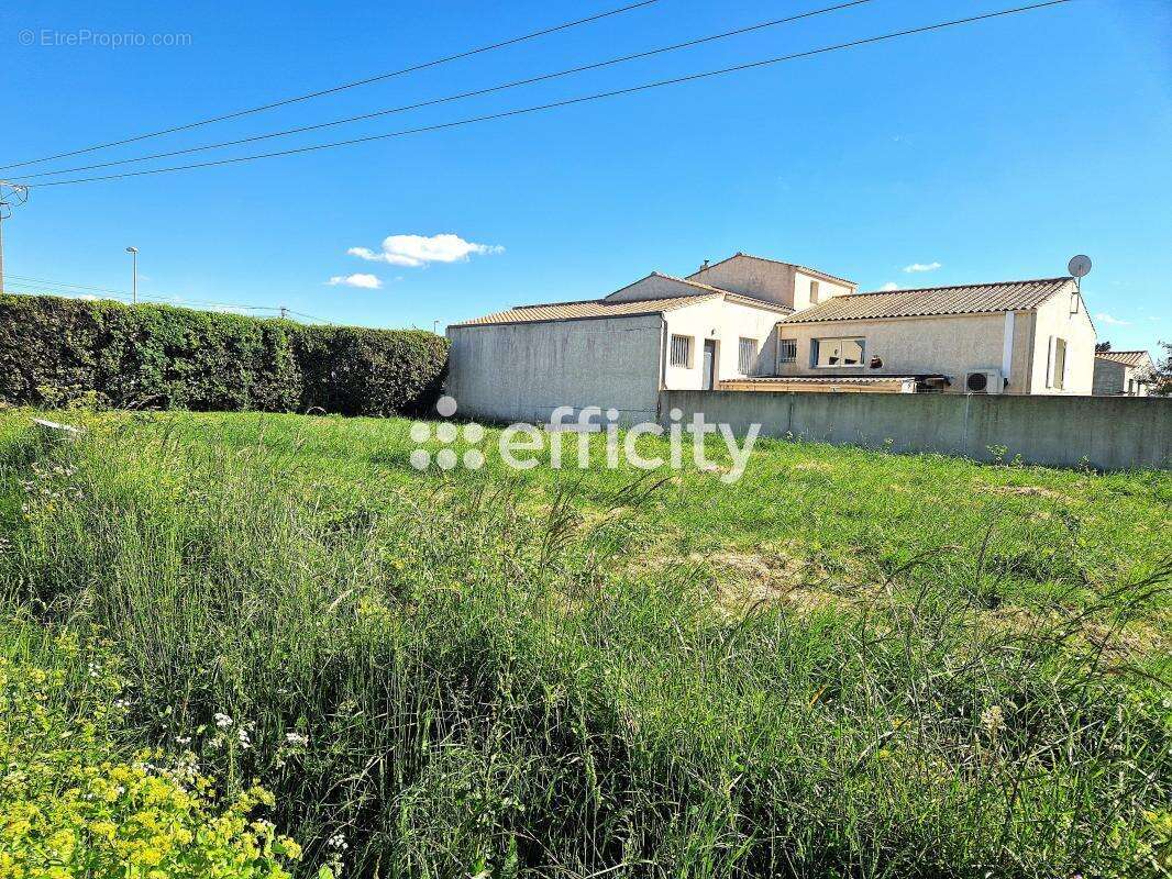 Terrain à SAINT-PIERRE-D&#039;OLERON