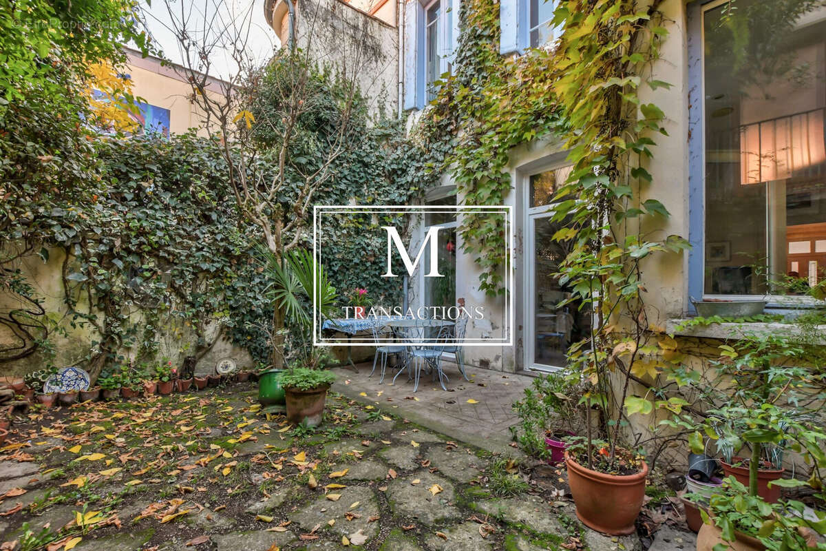 Courette - 1 - Maison à TOULOUSE