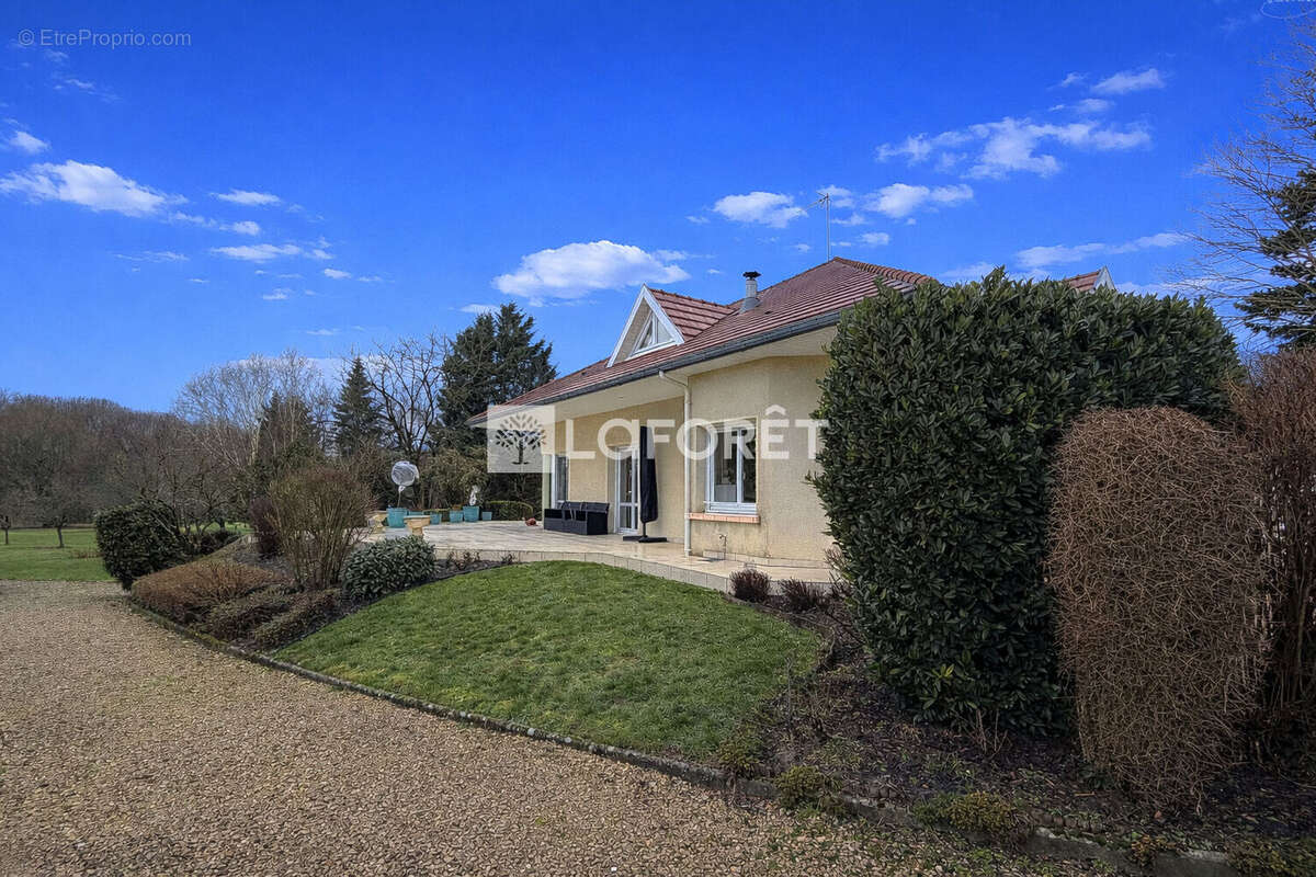 Maison à SAINTE-MENEHOULD