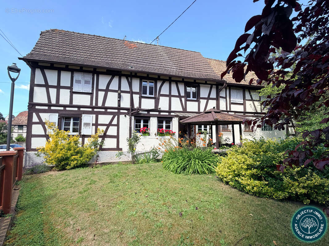 COUP DE CŒUR AU KOCHERSBERG — Authentique corps de ferme alsacien sur 14,93 ares - photo 47