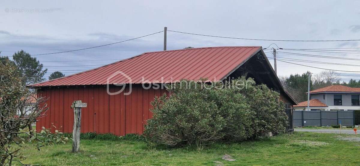 Maison à MESSANGES