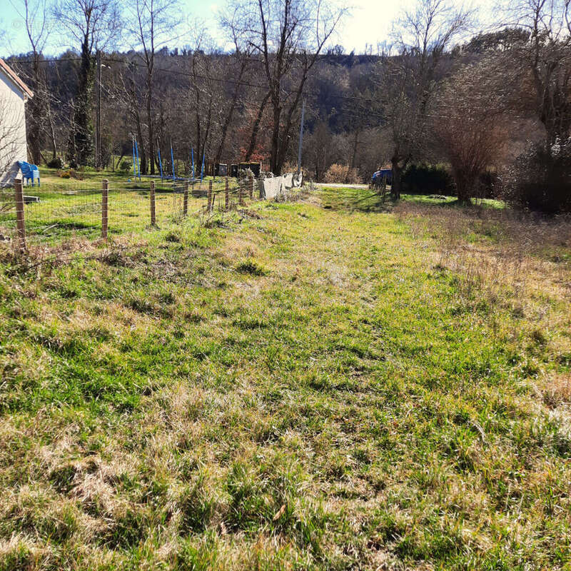 Terrain à POLIGNAC